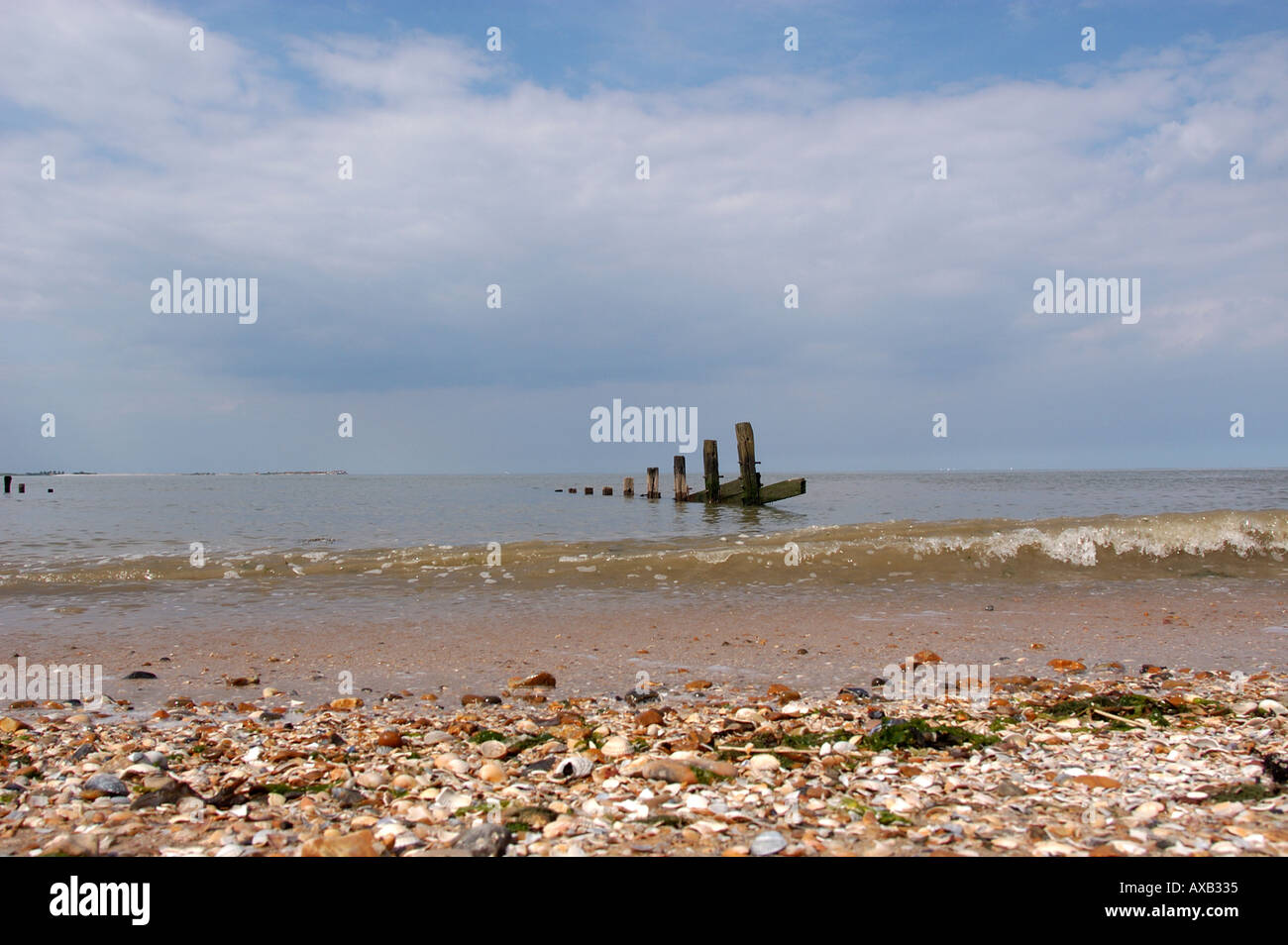Seasalter Beach Whitstable Kent Part of the Saxon Shore Stock Photo Alamy