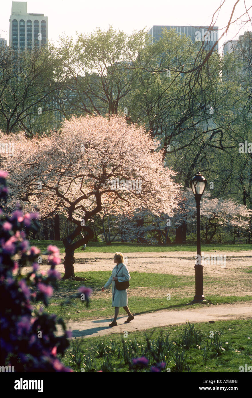 New york city central park family hi-res stock photography and images ...