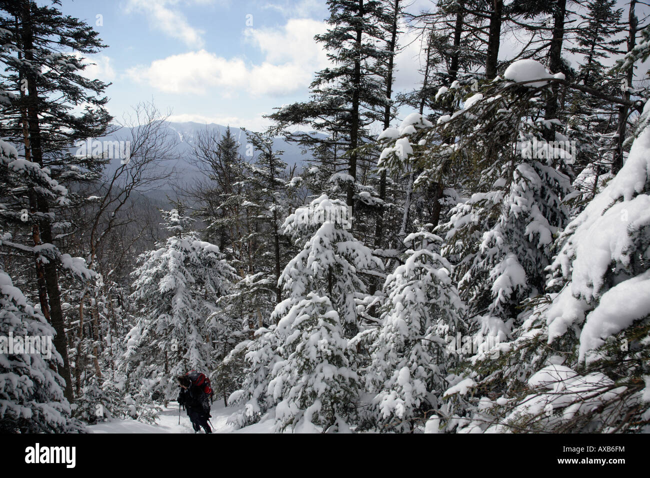 Hikers snowshoeing on the Hancock Loop Trail in the White Mountains New