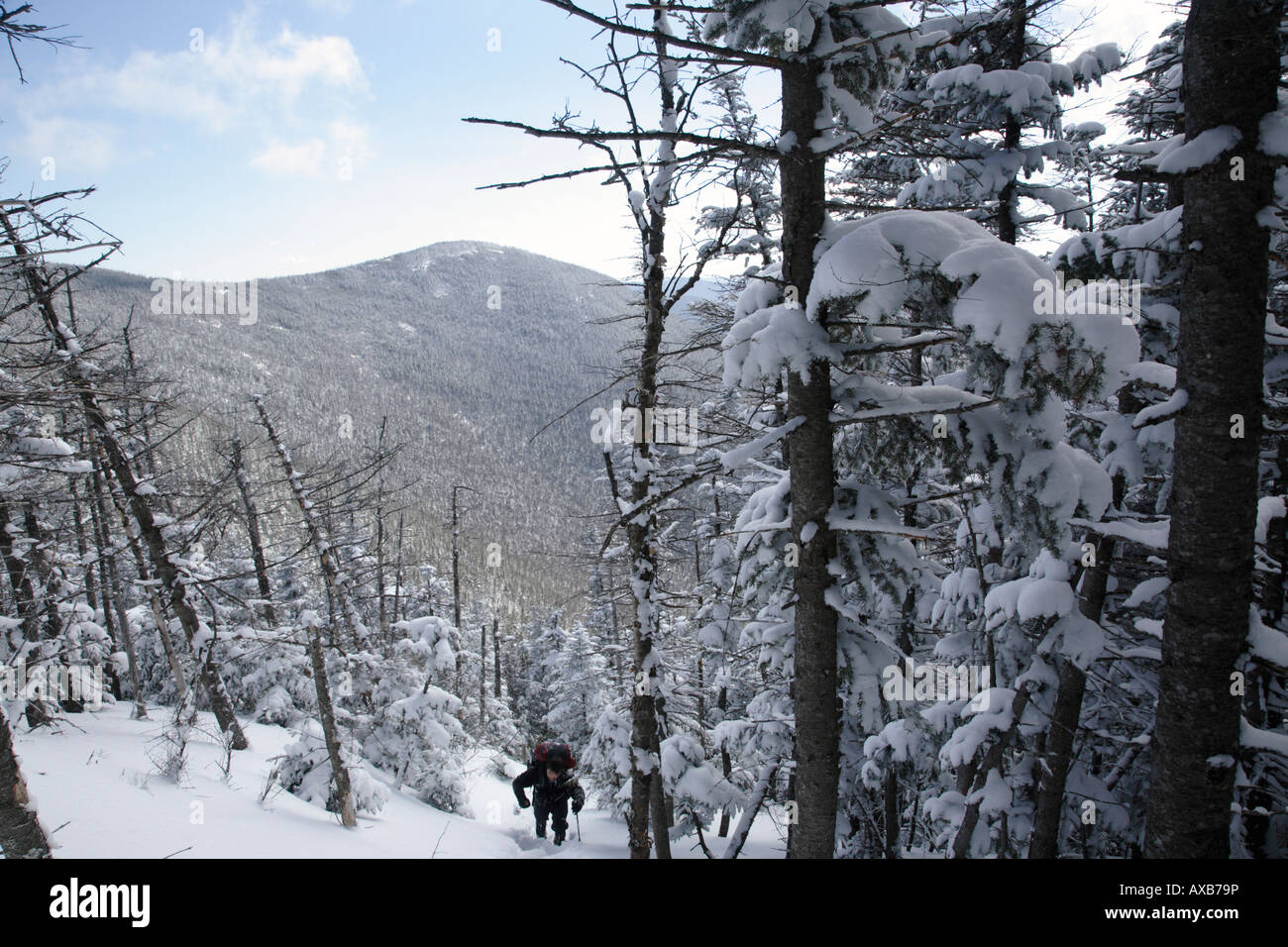 Hikers snowshoeing on the Hancock Loop Trail in the White Mountains New