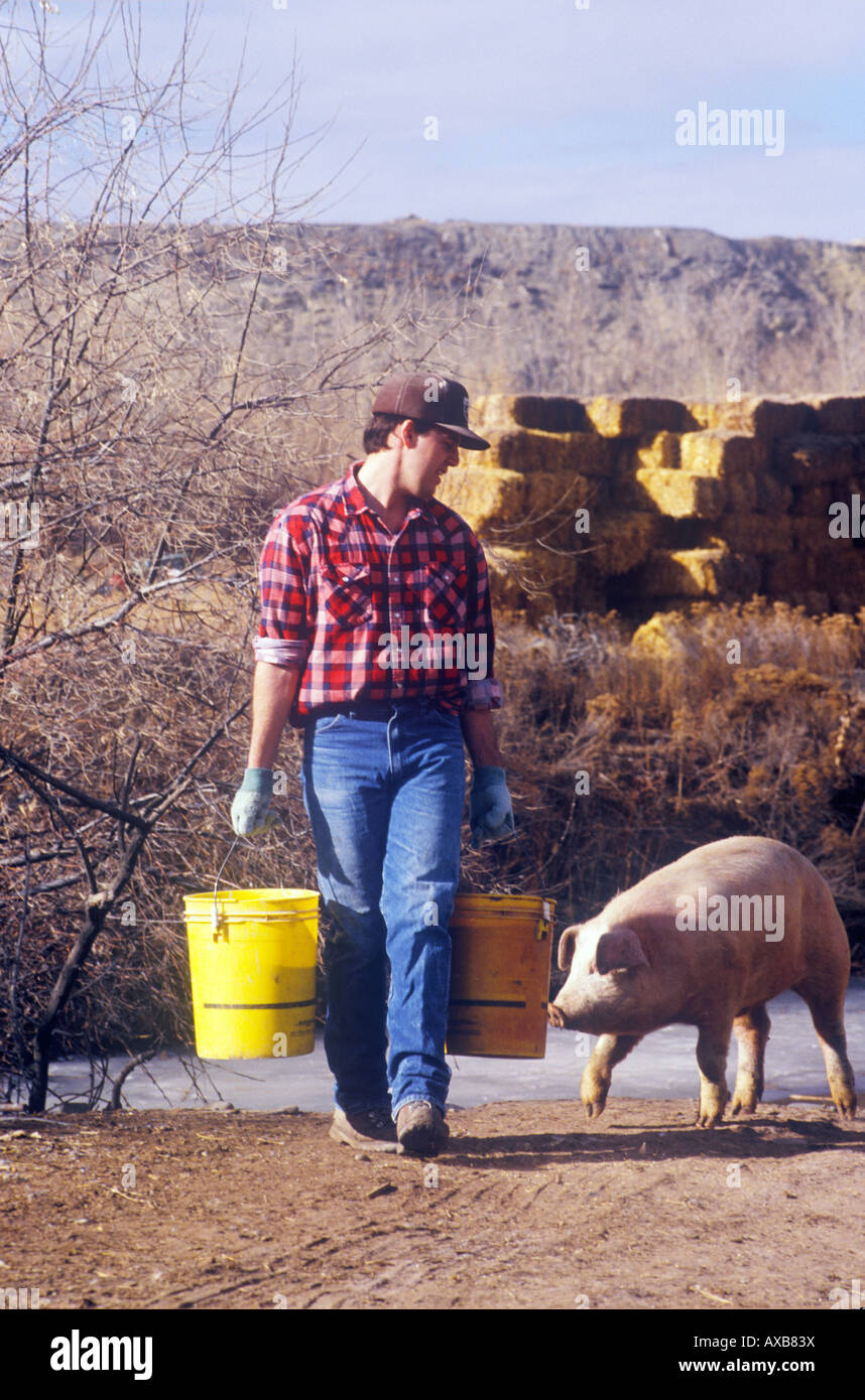 Pig farmer hires stock photography and images Alamy