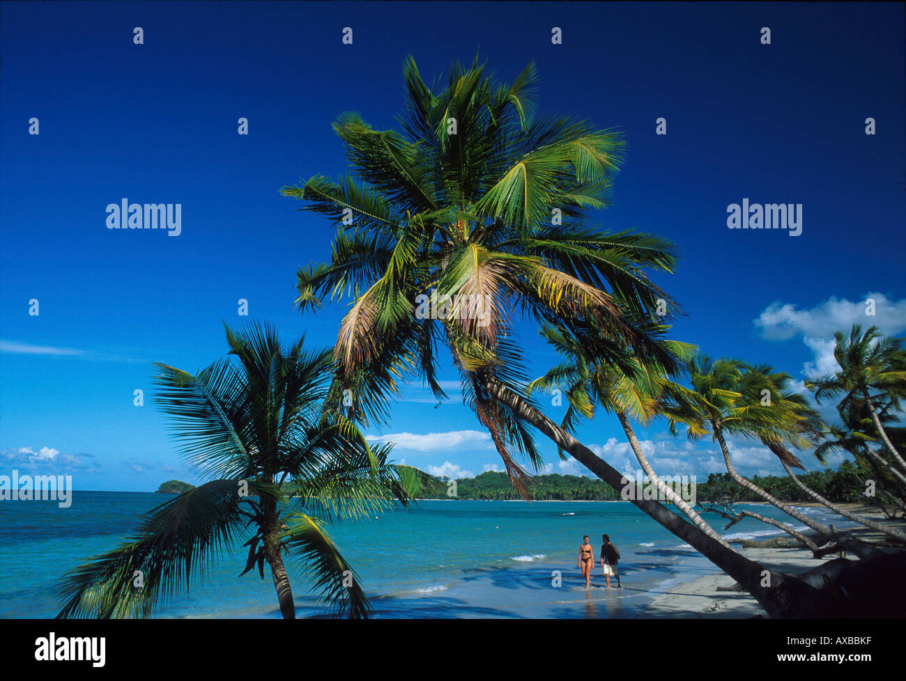 Strand, Las Terrenas, Halbinsel Samana Dominikanische Republik Stock Photo