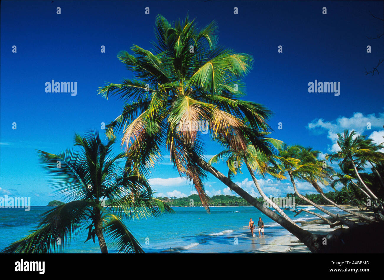 Las Terrenas, Halbinsel, Samana Dominikanische Republik Stock Photo