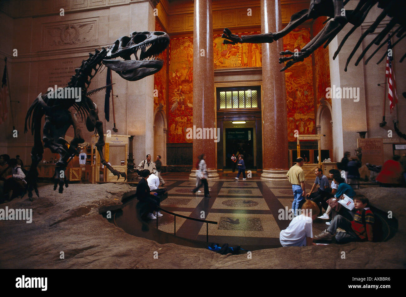 Natural History Museum, Manhattan New York, USA Stock Photo Alamy
