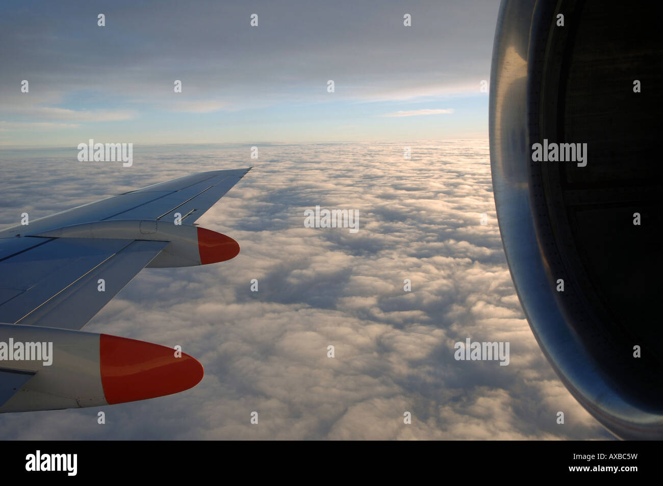 View from inside an aeroplane Stock Photo - Alamy