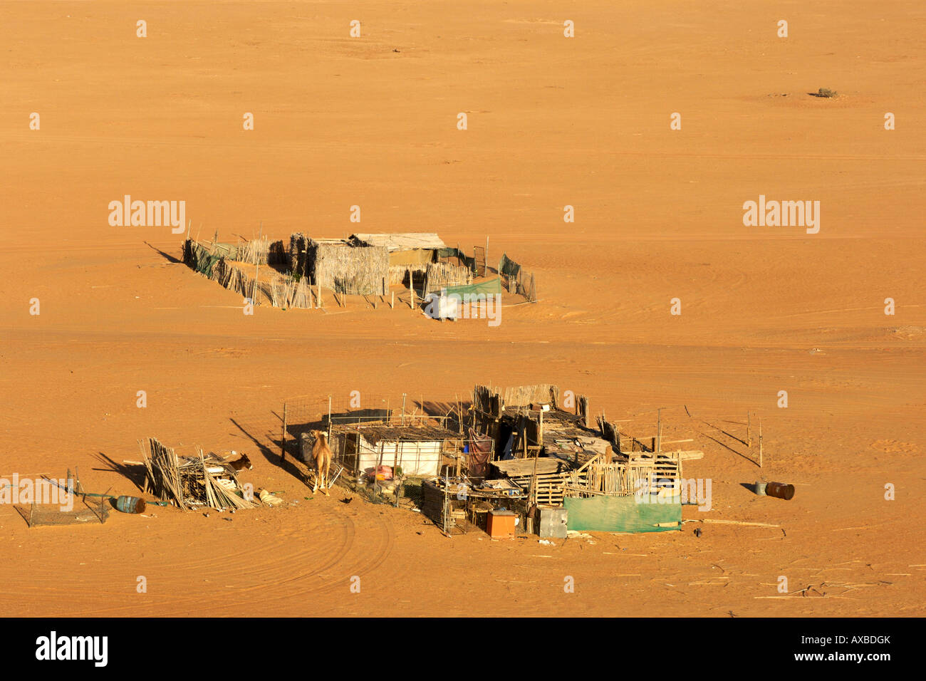Bedouin settlement in Wahiba Sands (Ramlat al Wahaybah) in Oman. Stock Photo