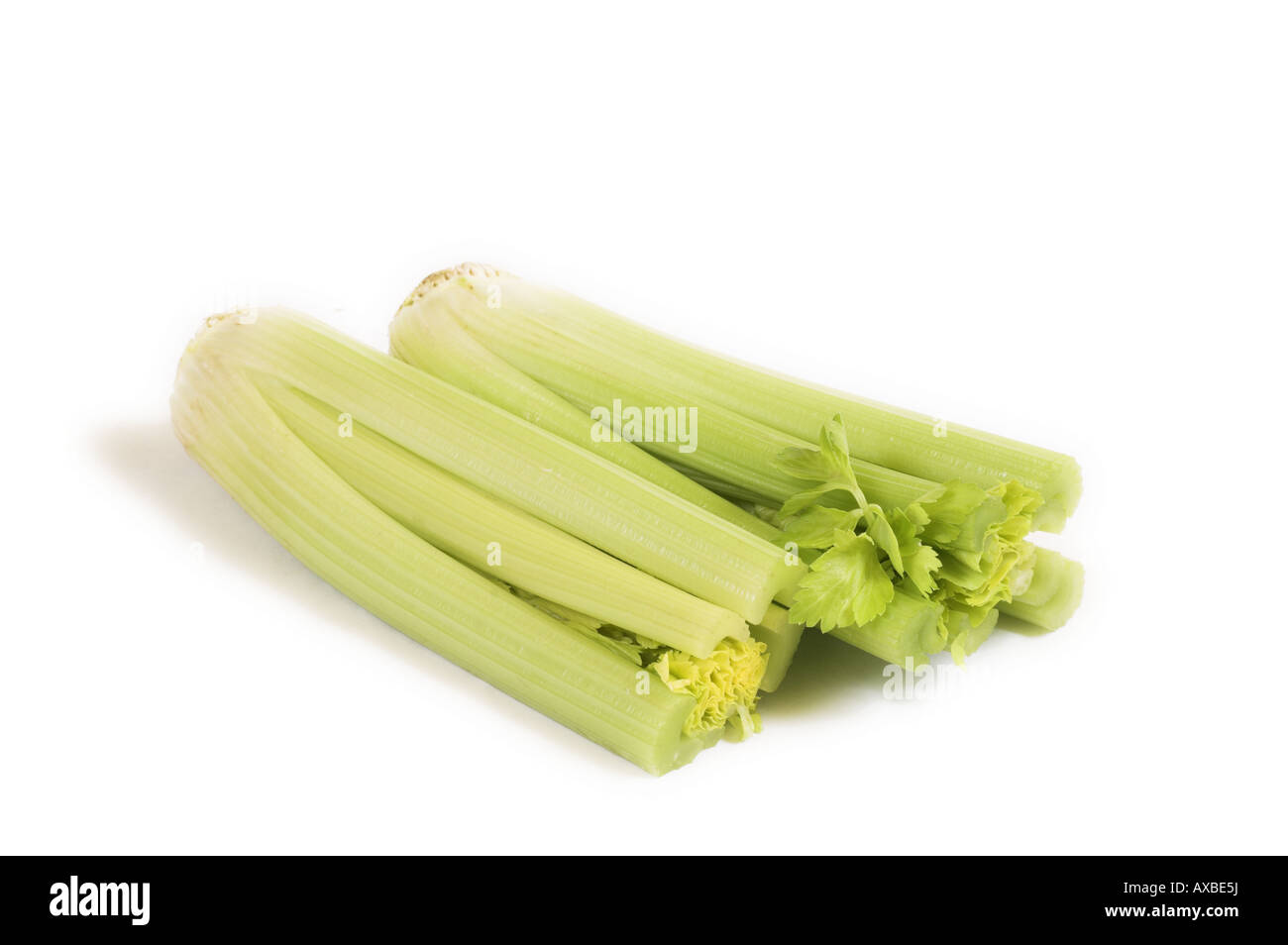 Two Celery Hearts cut out Stock Photo