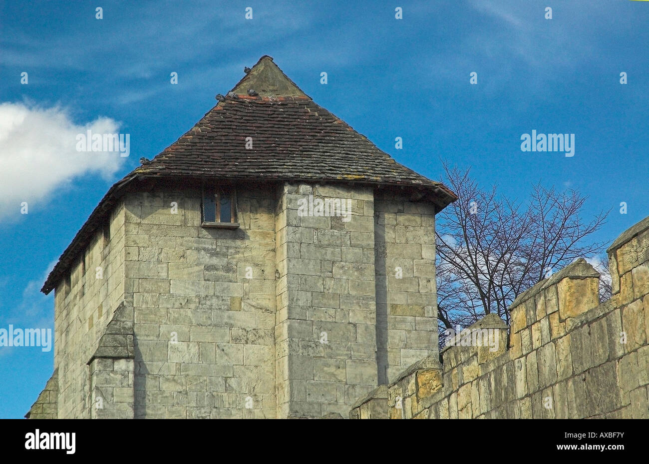 Pigeons on the roof of medieval gatehouse, Piccadilly, York Stock Photo