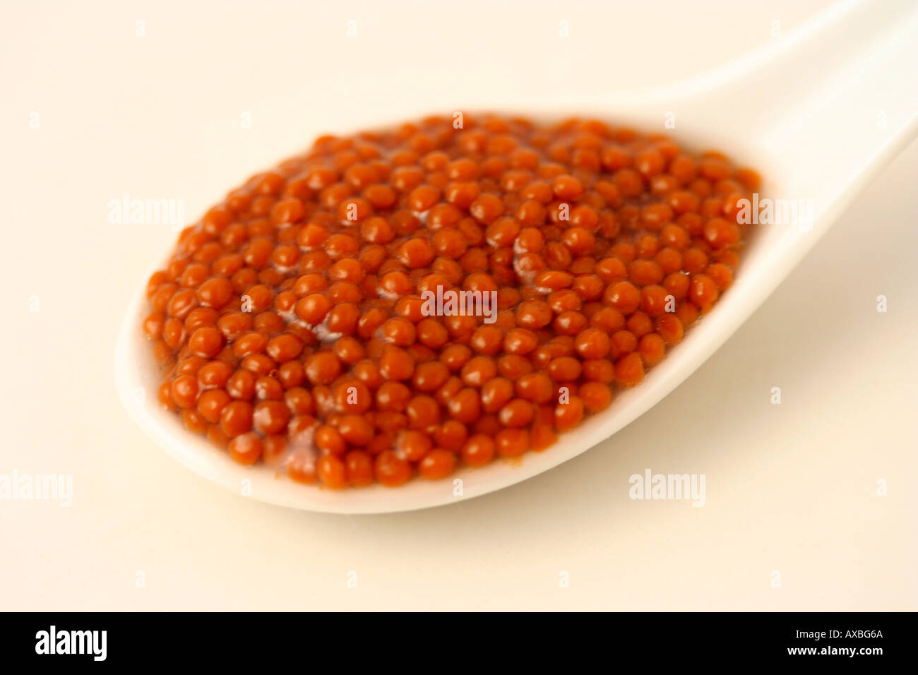 Lobster roe Stock Photo Alamy