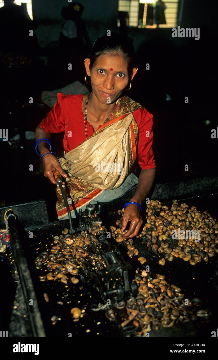 india goa inside a cashew nut factory Stock Photo Alamy