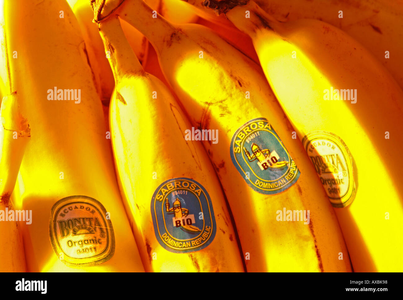 biological bananas from Ecuador Dominicanian Republic Stock Photo Alamy