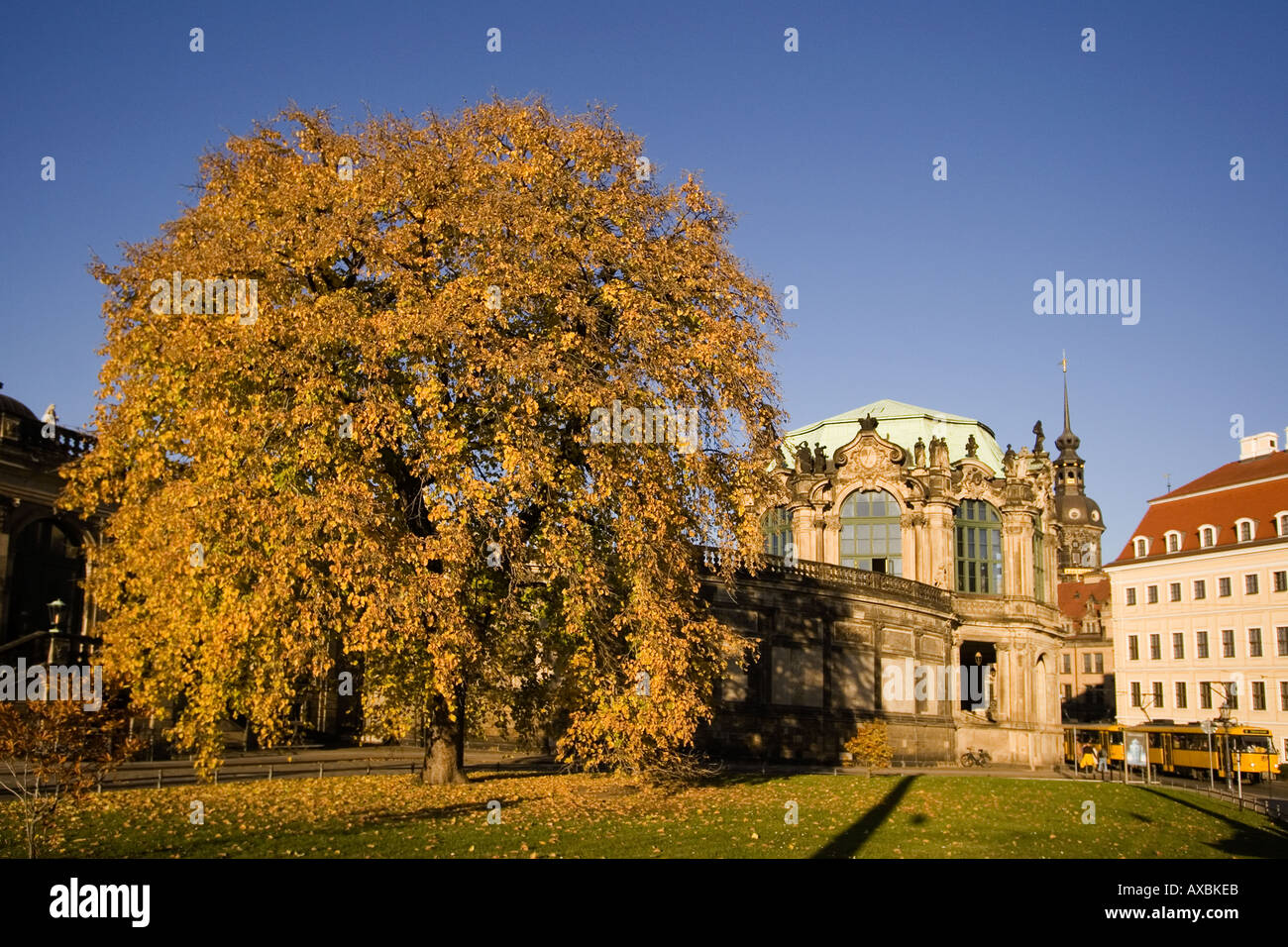 DEU Dresden Saxony Wallpavillon Zwinger autumn tree Stock Photo
