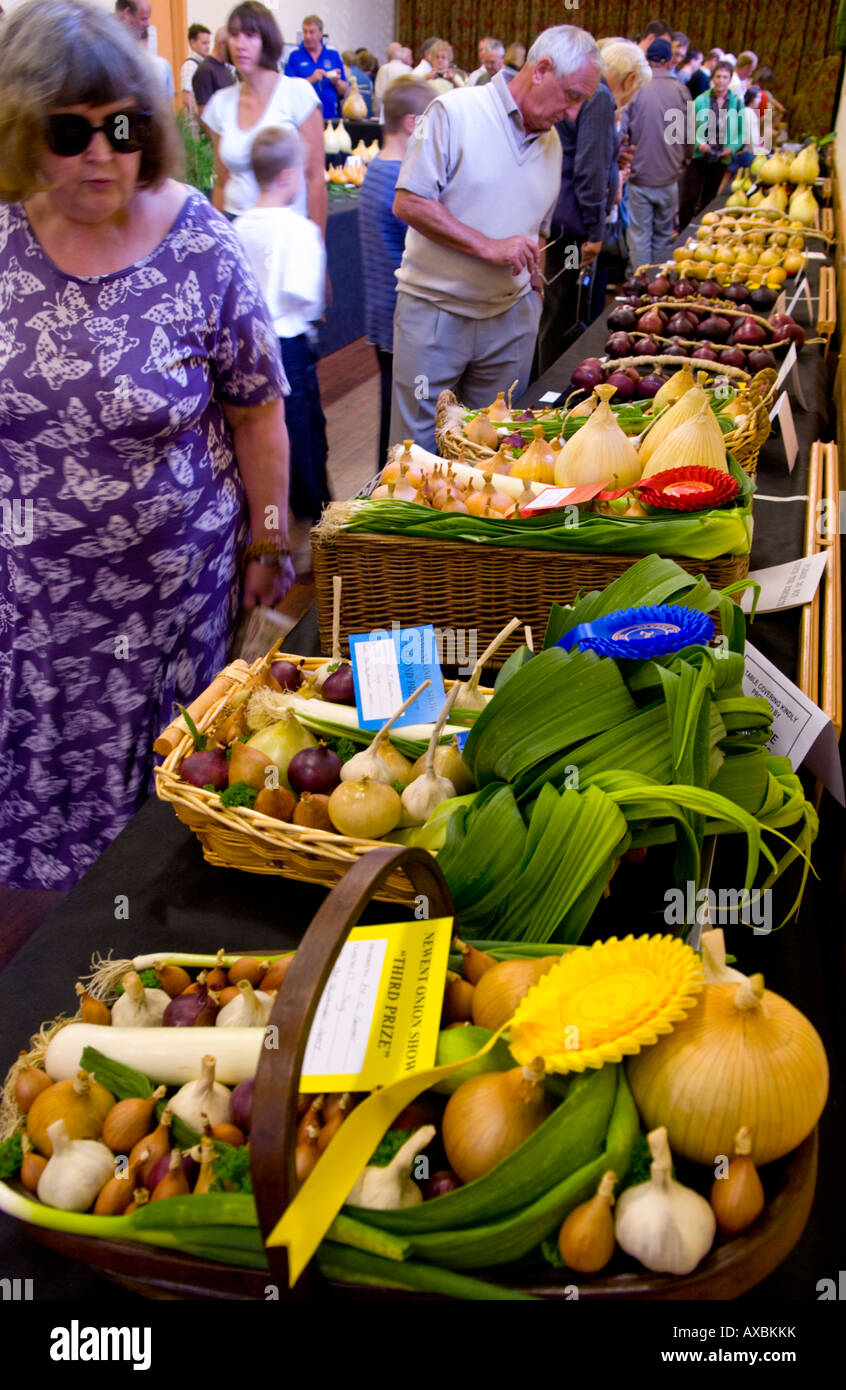 Leeks and onions in Newent Onion Show competition during annual Newent