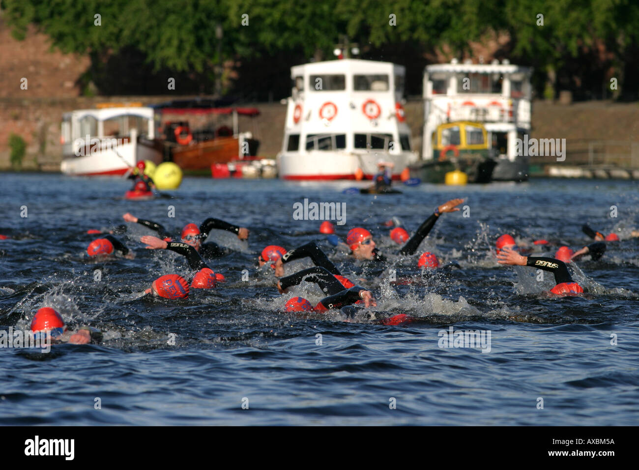 Swimmers swimming in the River Dee, Chester Triathlon. Stock Photo