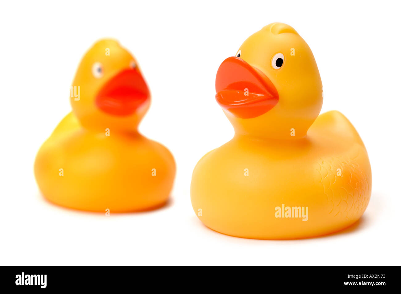 Two yellow plastic ducks Stock Photo