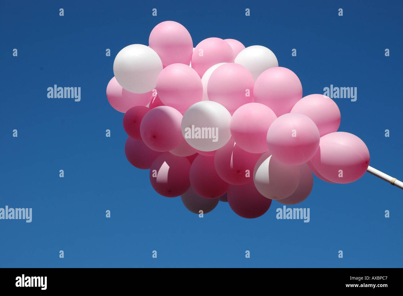 Colored party balloon tied with string 22069282 PNG