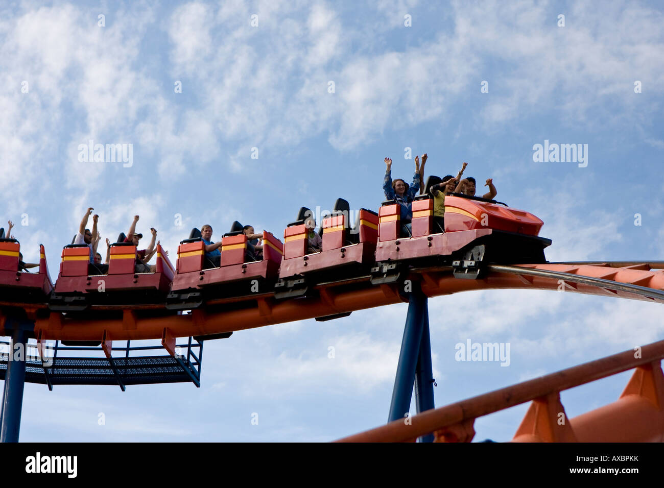 Scorpion Roller Coaster At Busch Gardens Tampa Florida Usa Fl U S