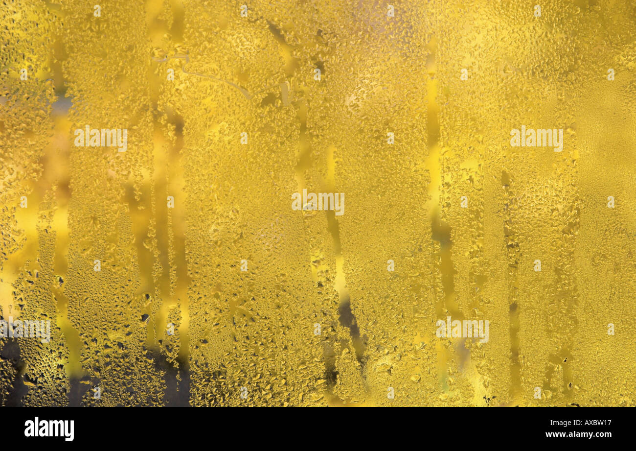 Download Condensation On Yellow Glass Stock Photo Alamy PSD Mockup Templates