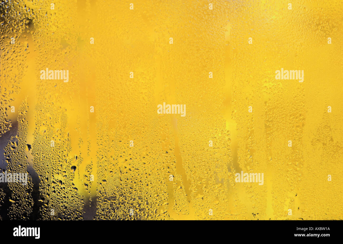 Download Condensation On Yellow Glass Stock Photo Alamy PSD Mockup Templates