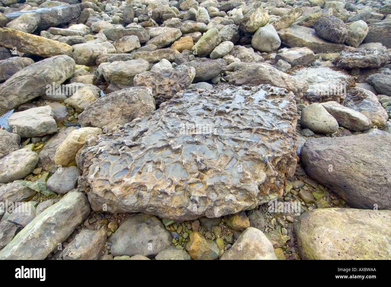 Filey brigg rocks hi-res stock photography and images - Alamy
