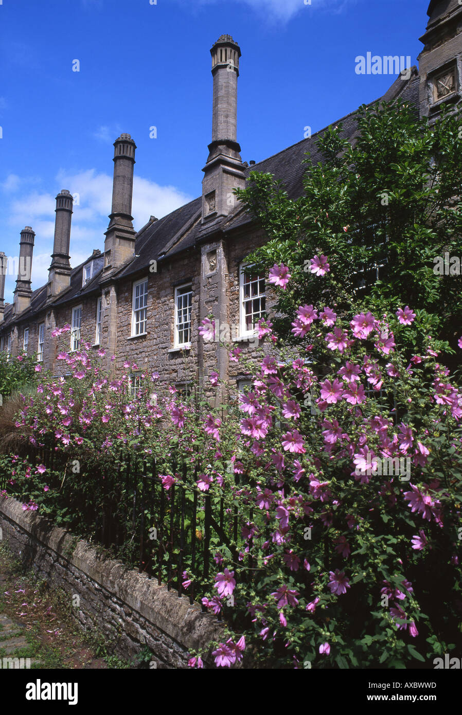 Vicars Close Wells Somerset England UK Stock Photo Alamy