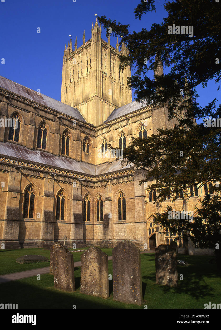 Wells Cathedral Central tower Somerset England UK Stock Photo
