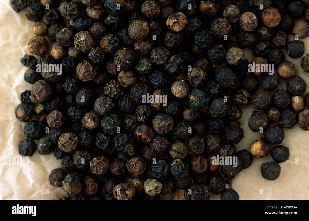 Black peppercorns Stock Photo