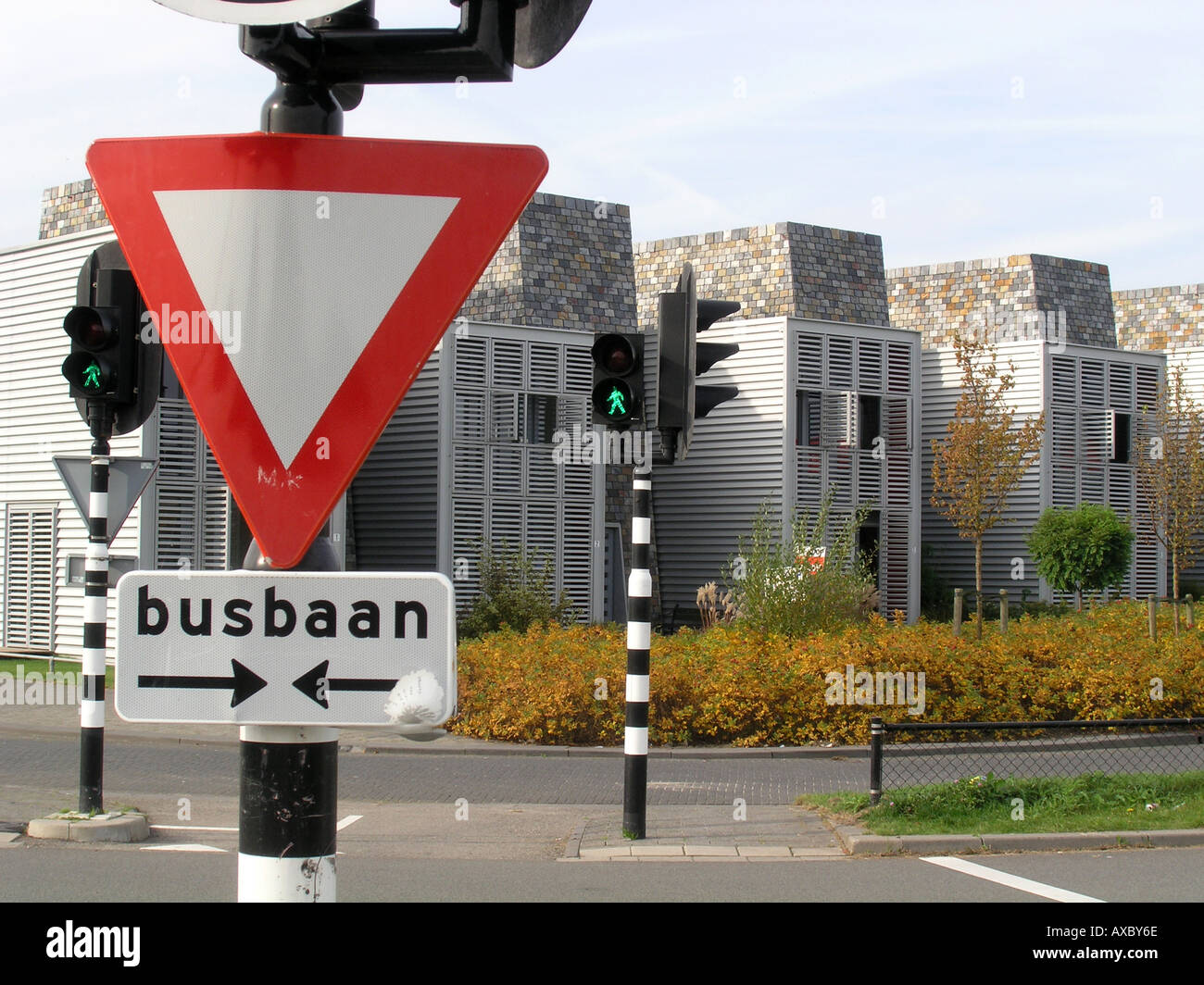 residential homes in Almere Buiten Netherlands Stock Photo Alamy