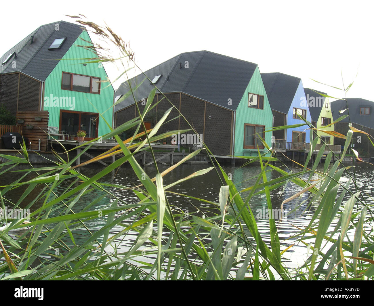 residential homes by the water side in Almere Buiten Netherlands Stock Photo Alamy