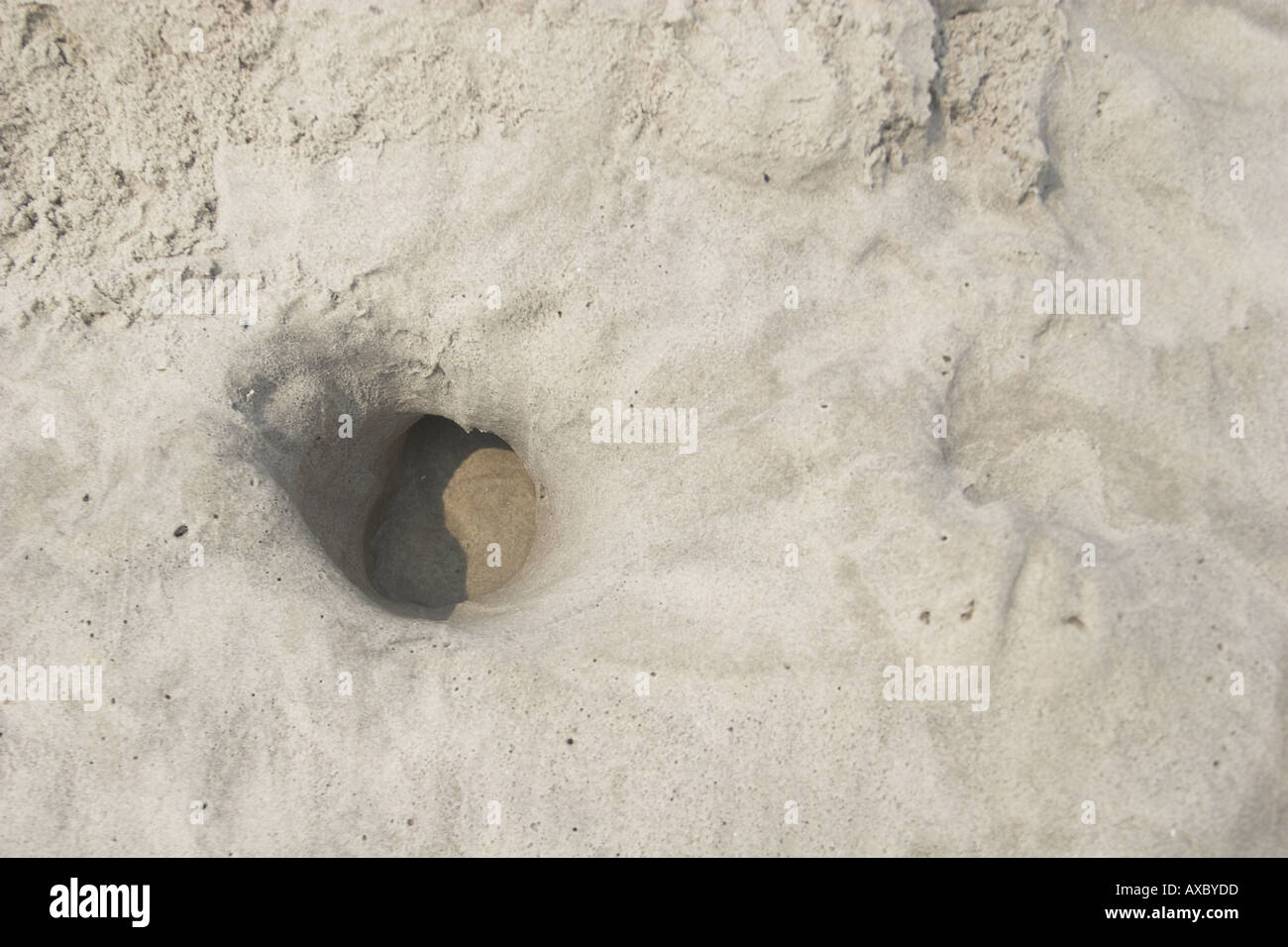holes in beach sand Stock Photo Alamy