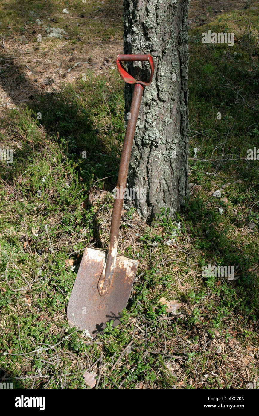tree shovel