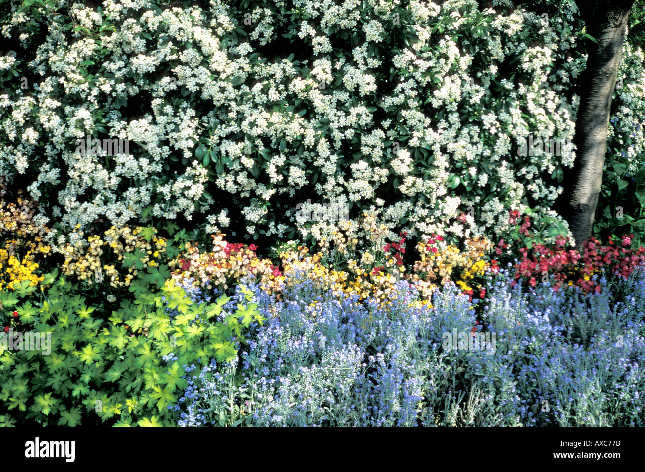 Wall flowers london hi-res stock photography and images - Alamy
