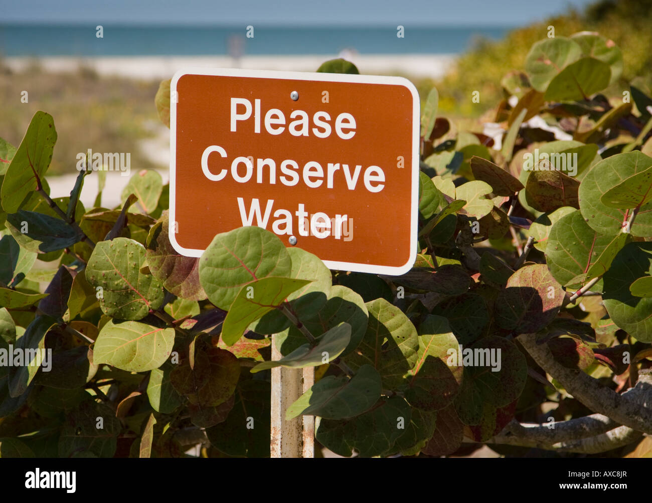 Sign requesting water conservation Stock Photo