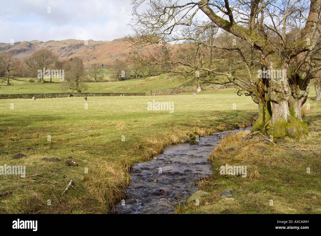 Great Langdale beck, The Langdales, Cumbria, UK. Stock Photo