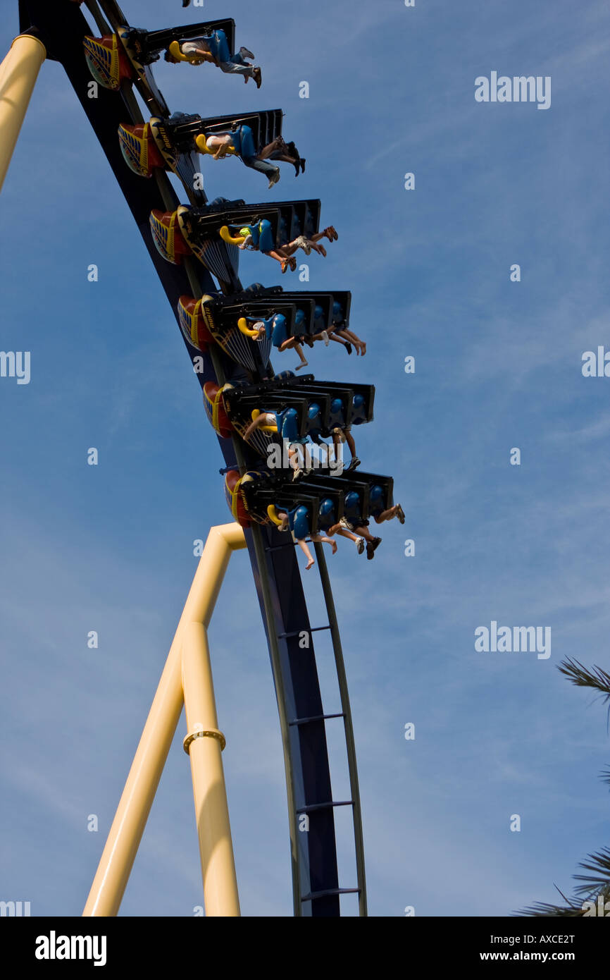 Montu Thrill Ride Roller Coaster at Busch Gardens Florida Stock Photo