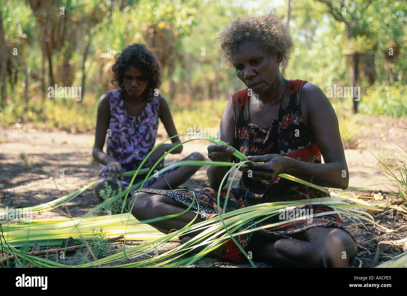 Aboriginal women stripping pandanus for weaving in remote clan country