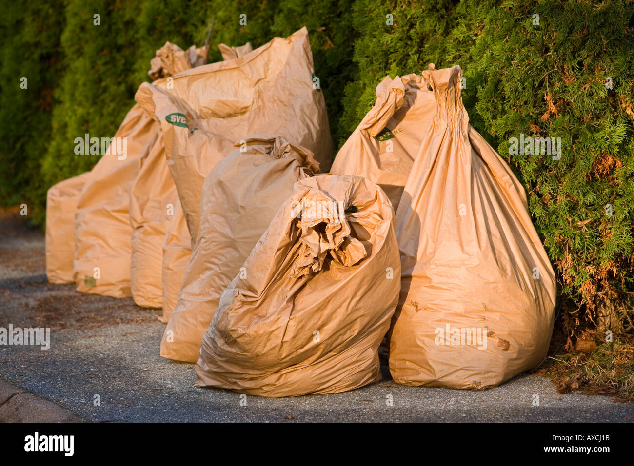 Recyc hi-res stock photography and images - Alamy