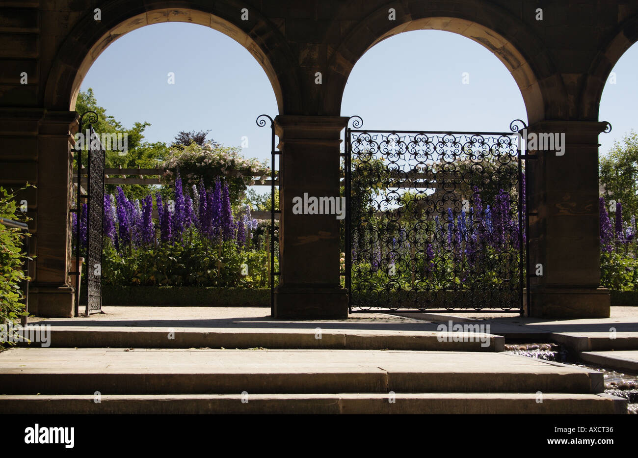 Alnwick gardens northumberland hi-res stock photography and images - Page 9  - Alamy, image size:1300x933