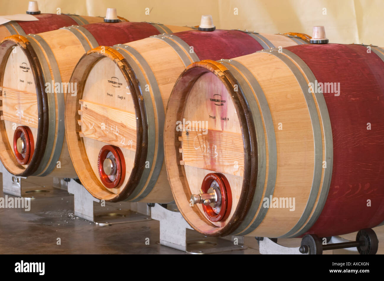 Fermentation in barrel. Oak barrel cellar. Vinification integrale