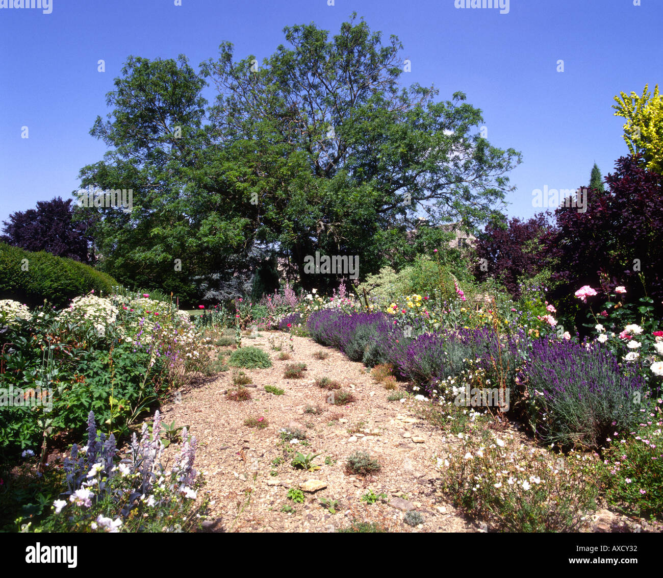 Scree style summer rockery garden border Stock Photo - Alamy