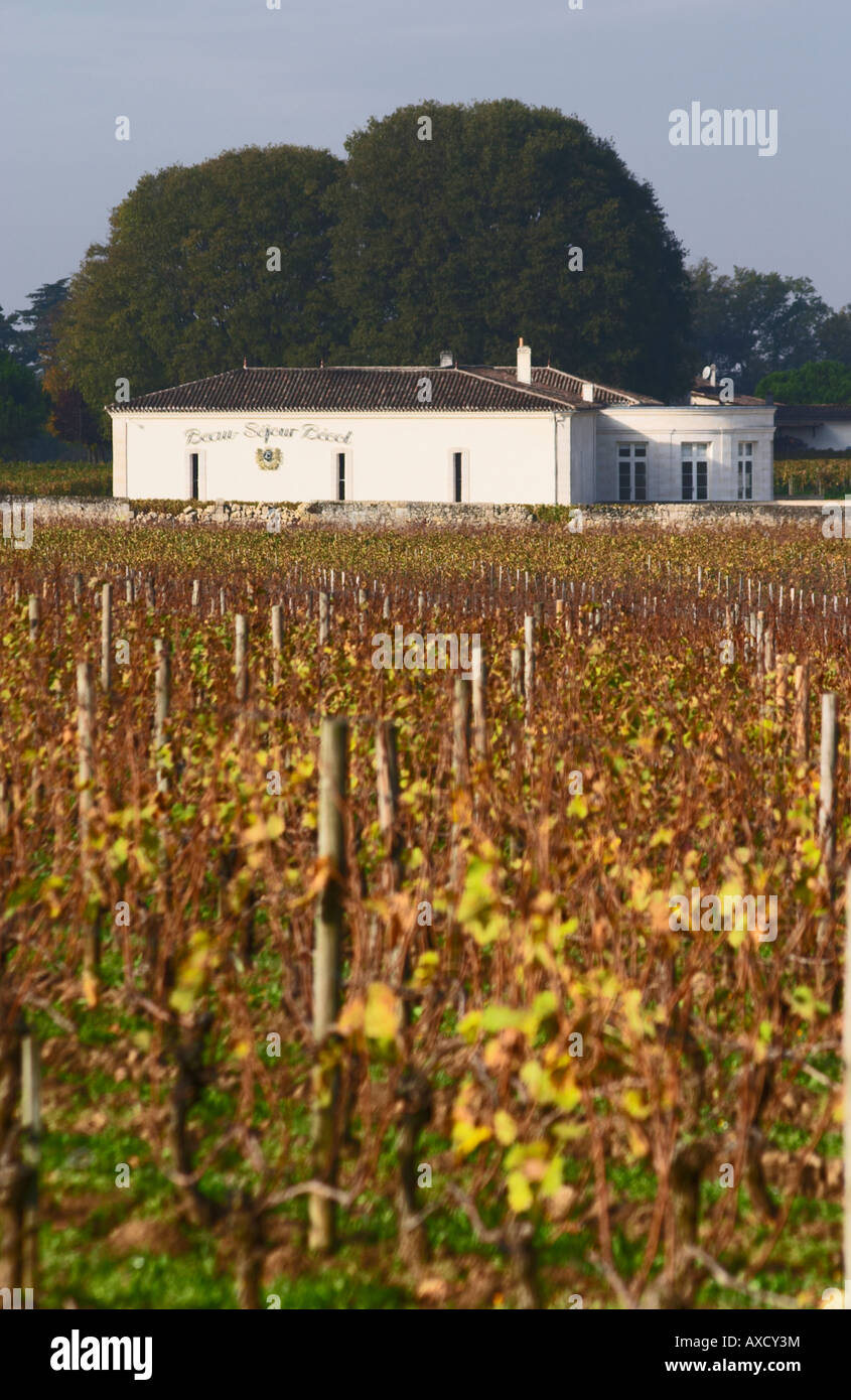 Vineyard and winery. Chateau Beau Sejour Becot. Saint Emilion, Bordeaux, France Stock Photo
