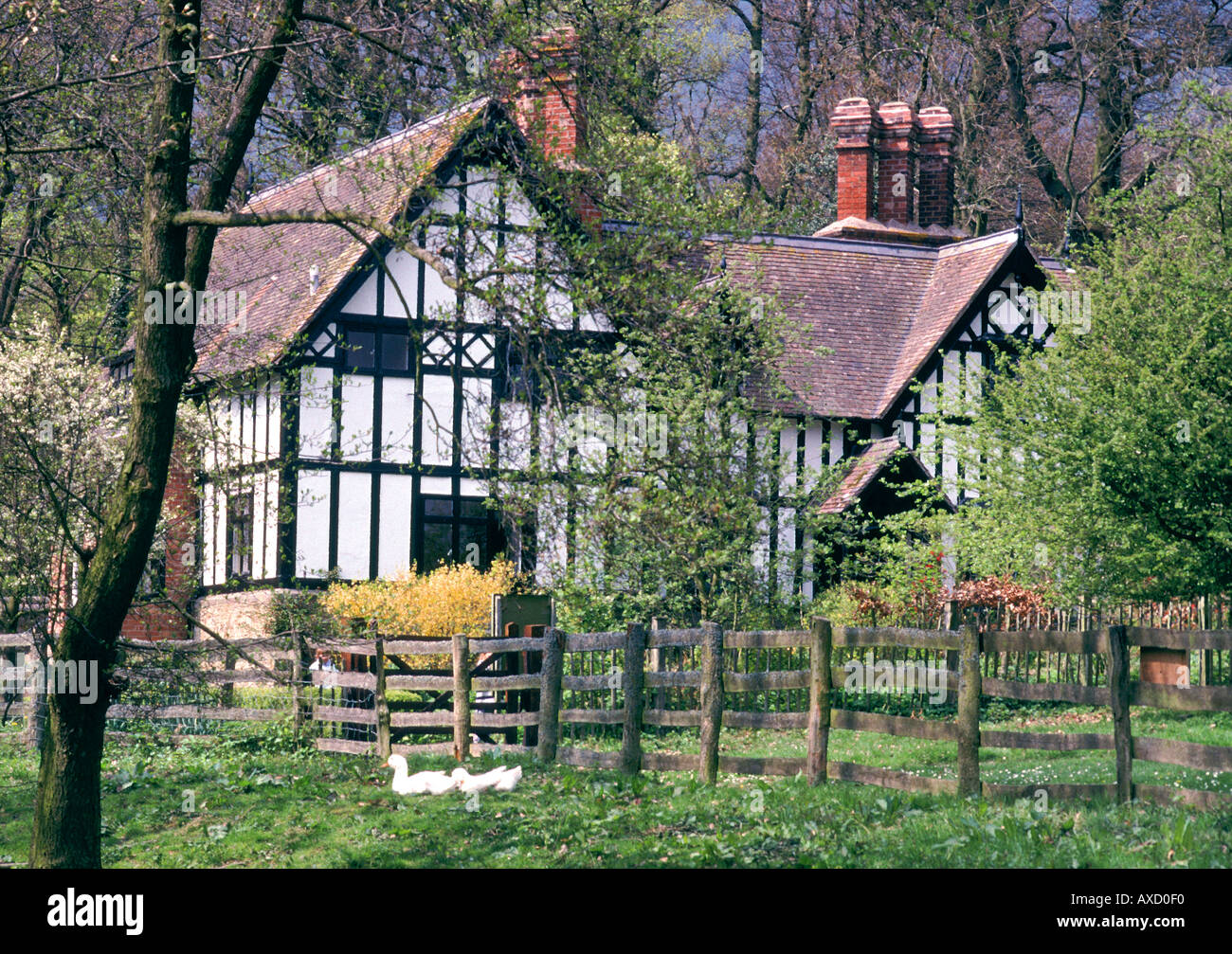 ACTON SCOTT WORKING FARM SHROPSHIRE ENGLAND UK Stock Photo Alamy