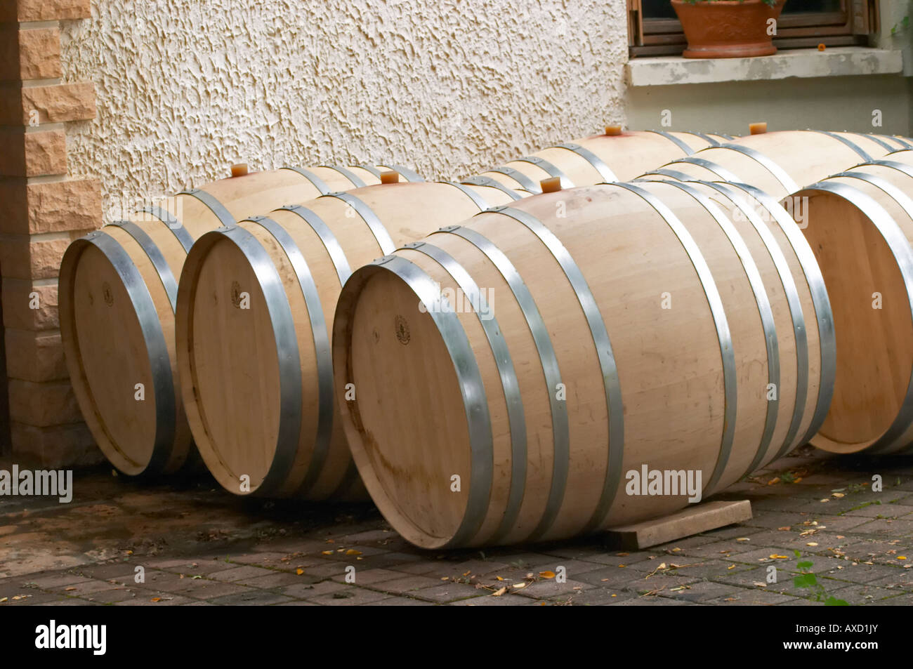 Oak barrel aging and fermentation cellar. Domaine Tracot & Dubost