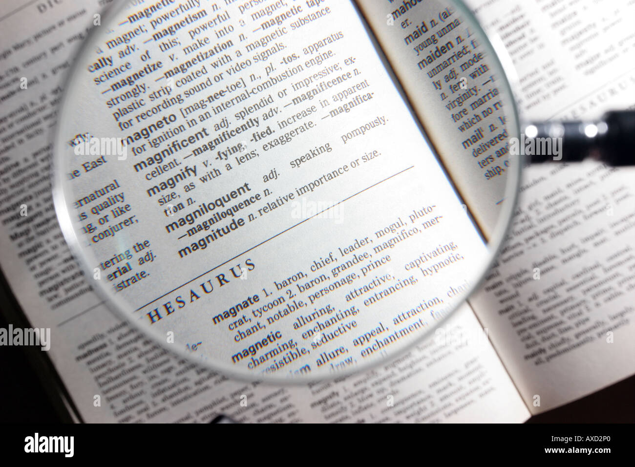 amplifikation Hykler Tredje Magnifying Glass Being Used to Make Print Larger in a Dictionary With Focus  on the Word Magnify Stock Photo - Alamy