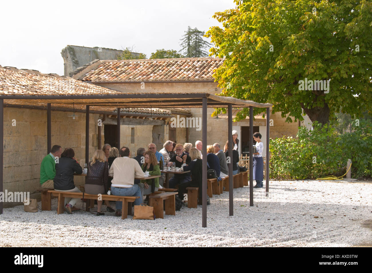 Lunching in the vineyard. Clos Saint Julien, Saint Emilion, Bordeaux, France Stock Photo