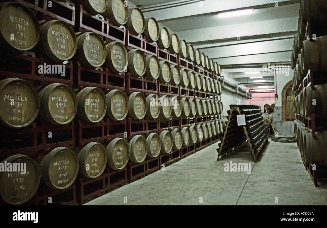 Oak barrels at the wine cooperative Aurora, Bento Goncalves, southern Brazil Stock Photo