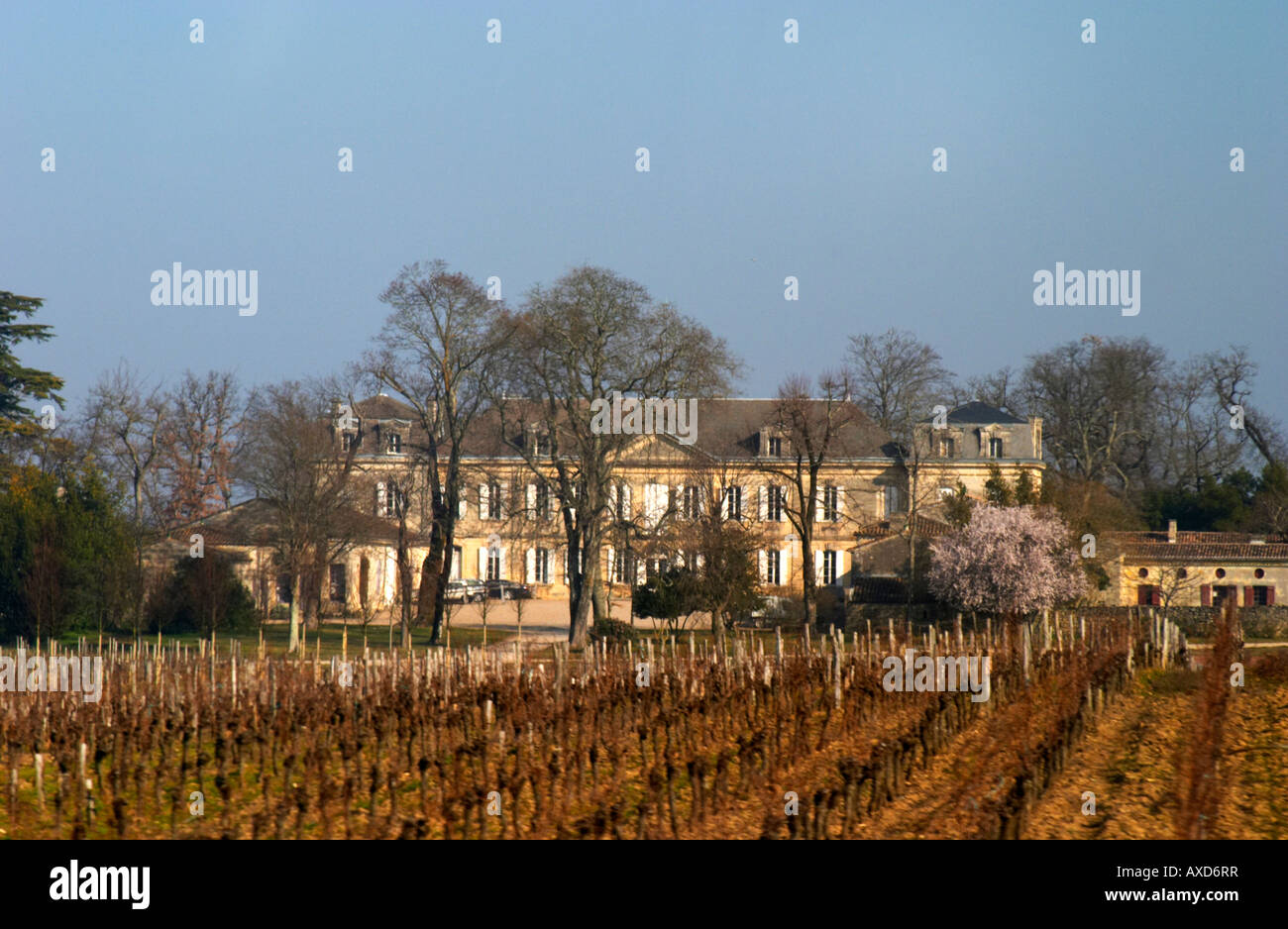 Vineyard. Chateau Soutard. Saint Emilion, Bordeaux, France Stock Photo