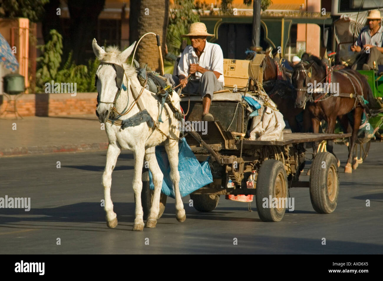 Donkey pulling a cart hires stock photography and images Alamy