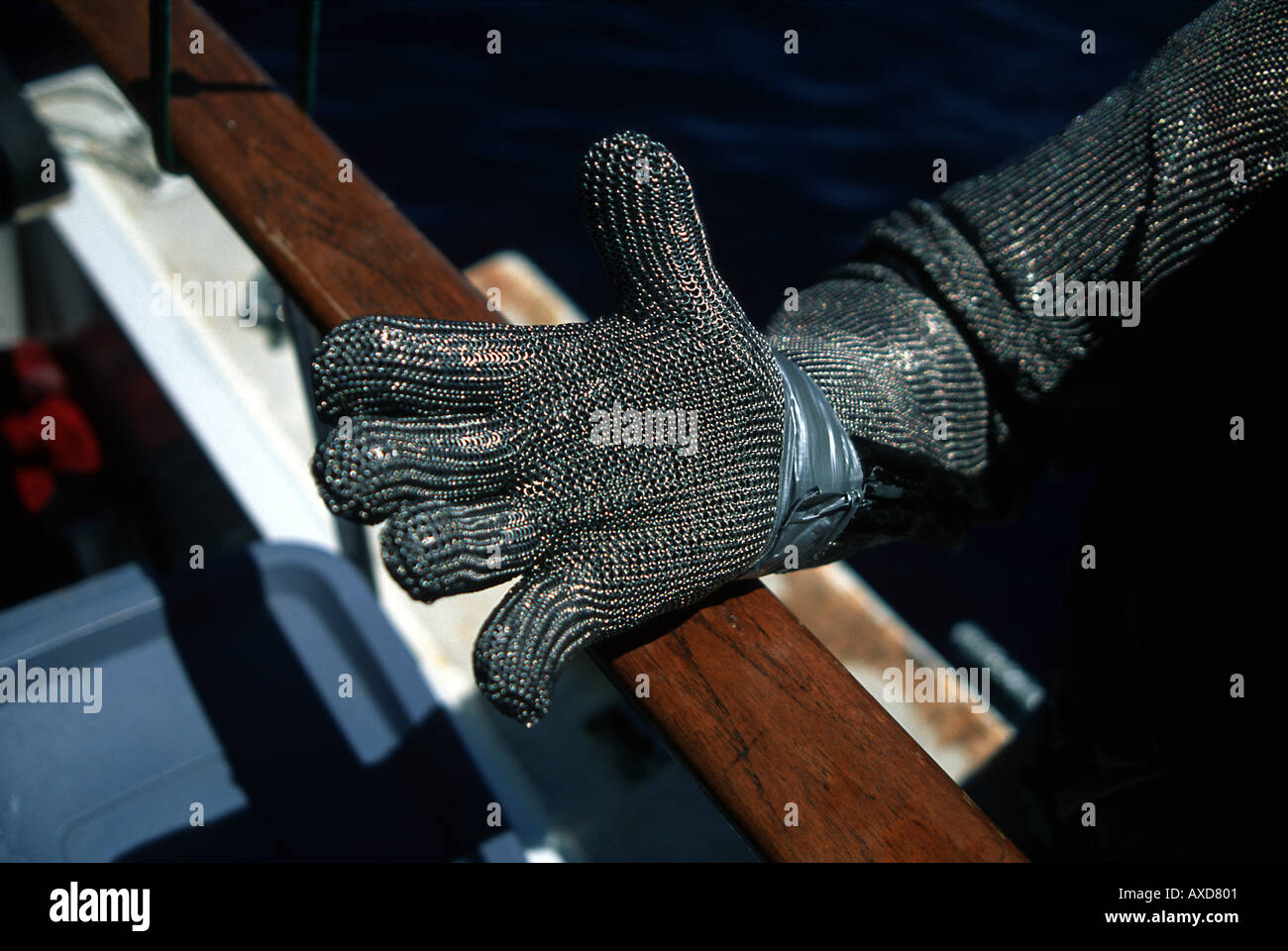 The diver MR wears this suit to protect himself from the sharks he is