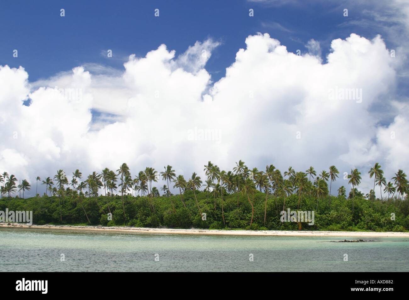 Palm trees and white sand beaches are a standard here in the Cook Islands Motu Tapu Island Rarotonga The Cook Islands  Stock Photo